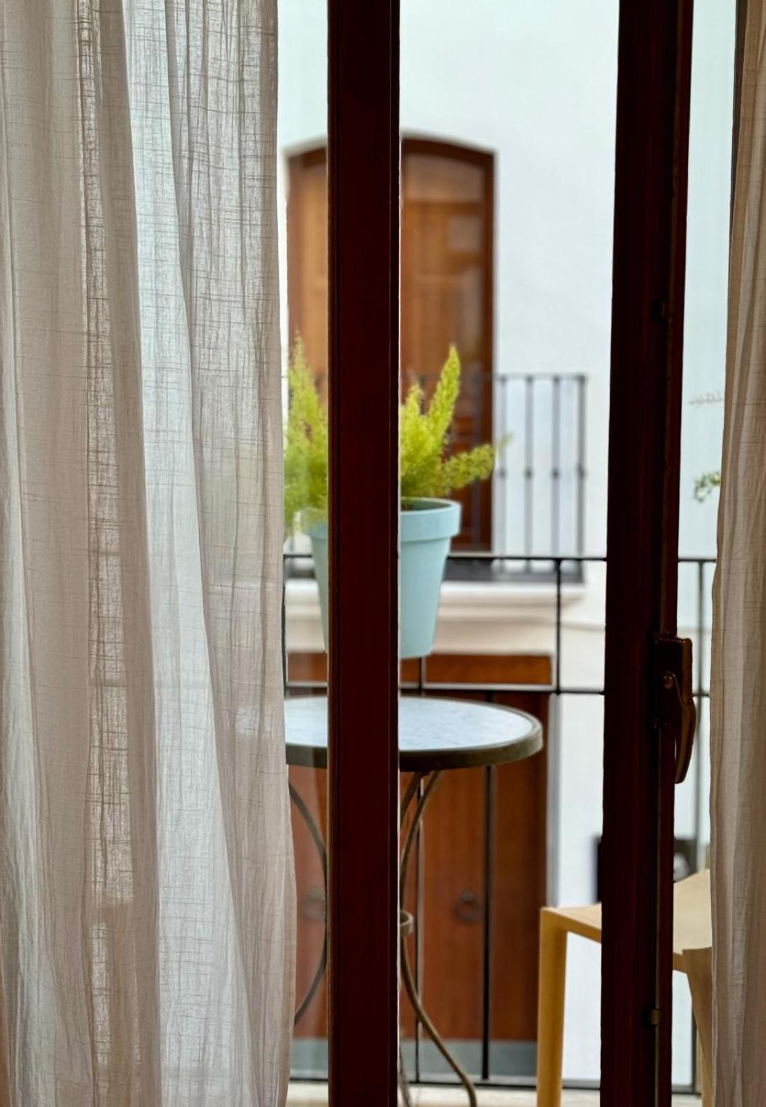 사티바 N28 B&B 외부 사진